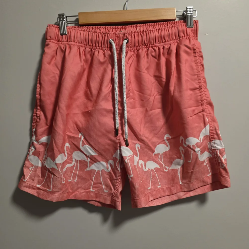 Vibrant Flamingo Print Mens Swim Shorts